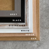 Personalised Animated Cartoon Pet Portrait Print