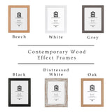 Personalised Animated Cartoon Pet Portrait Print