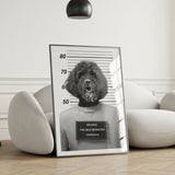 Personalised Pet Mugshot Portrait Print