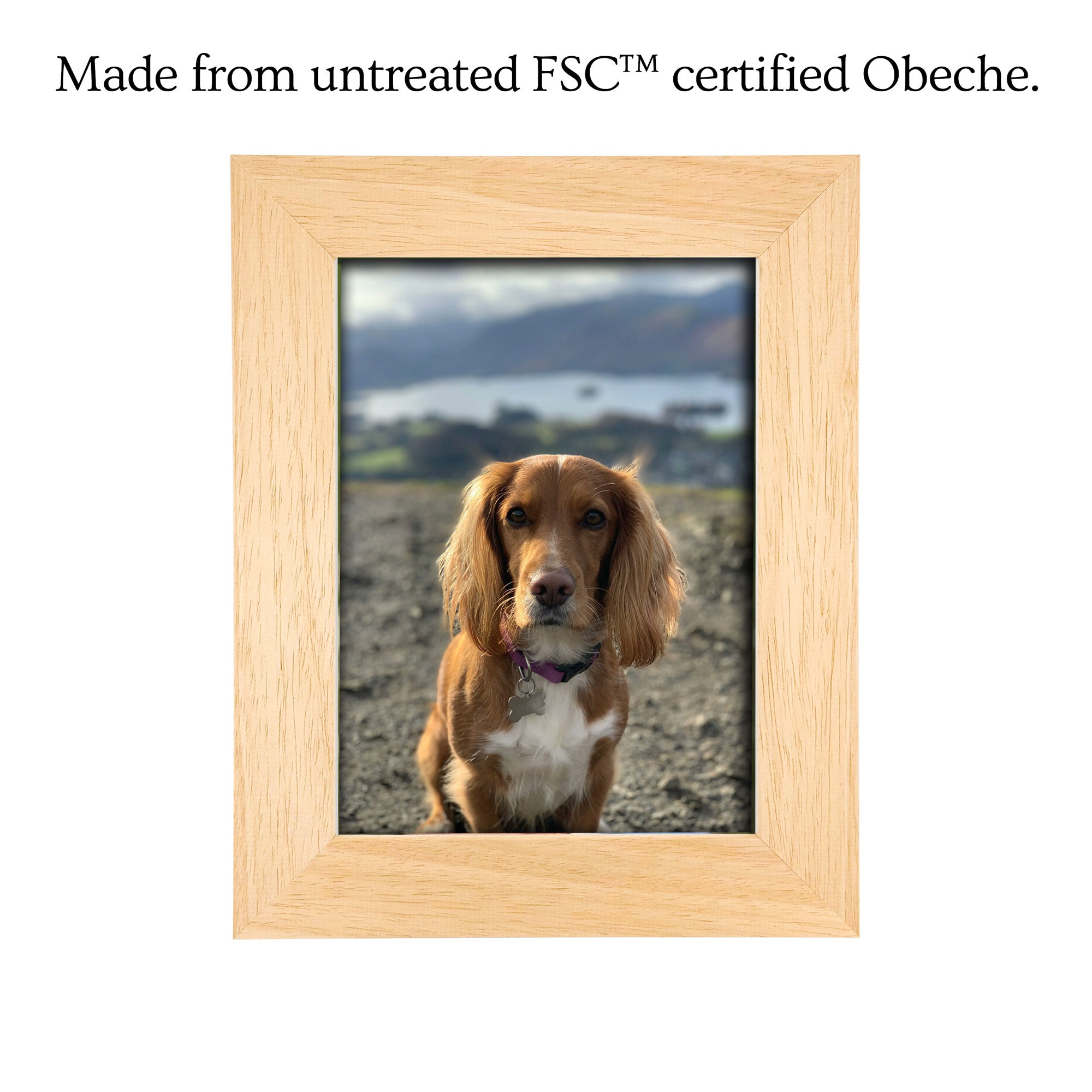 Personalised Photo Frame for your Pet